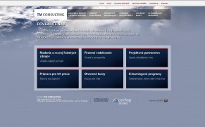TM Consulting